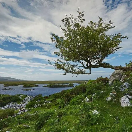 Glen Holiday Cottages, Clifden, County Galway - 3 Bedrooms Sleeps 5 펜션 *