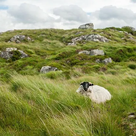 Glen Holiday Cottages, Clifden, County Galway - 3 Bedrooms Sleeps 5 펜션 클리프덴
